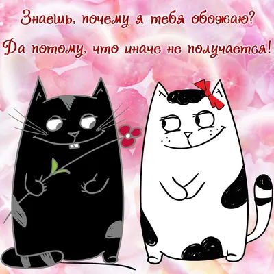 Открытка-валентинка на 14 февраля, 23 февраля, 8 марта "Люблю тебя, мой  котик!" купить по цене 50 ₽ в интернет-магазине KazanExpress