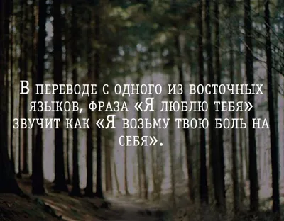 Бенто-торт Люблю тебя до луны и отбратно, Кондитерские и пекарни в  Санкт-Петербурге, купить по цене 1450 RUB, Бенто-торты в Odemi с доставкой  | Flowwow