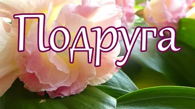 Шоколад подарочный "Лучшей подруге", 20 оригинальных шоколадок и чай, 140 г  - купить с доставкой по выгодным ценам в интернет-магазине OZON (524319203)