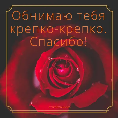 Только тебе!❤️ #спасибозалюбовь | TikTok