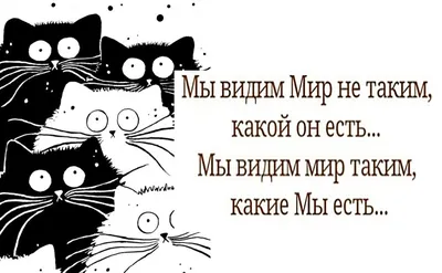 Люси ЛЮБОВЬ-ЭТО ВСЕГО ЛИШЬ иллюзия. Люди ИСПОЛЬЗУЮТ ЕЕ, ЧТОБЫ ОТВЛЕЧЬ СЕБЯ  ОТ МРАЧНЫХ РЕАЛИЙ ЖИЗНИ / любовь :: dorrismccomics :: отношения :: Смешные  комиксы (веб-комиксы с юмором и их переводы) / смешные