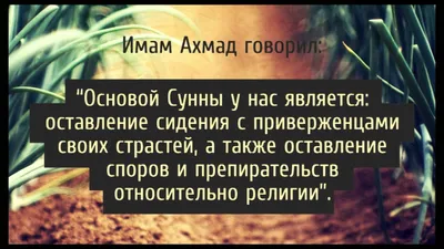 Цитаты на тему «ислам» | 