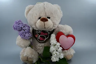 Мягкая игрушка «Мишка любовь» | МОРЕ БУКЕТОВ купить цветы в Шадринске с  доставкой круглосуточно