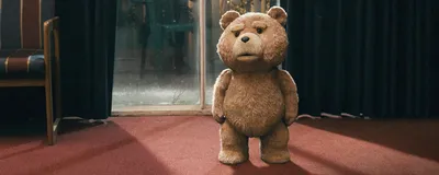 Третий лишний / Ted (2012, фильм) - «27 лет с этим медведем!? Фильм о  35-летнем Джоне и плюшевом медведе,который превратил жизнь друга в ад! » |  отзывы