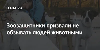 Эвакуация животных и людей из Херсонской области продолжается - 07 июня  2023 :: Новости Донбасса