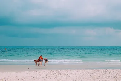 Люди на пляже | Премиум Фото