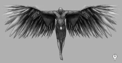 Инклюзивный проект «Человек с крыльями»