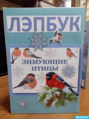 Избранные стихи Поляковой Л.С. Том 1» - скачать книгу - НТВ-ПЛЮС