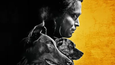 DogMan (2023) - Filmaffinity