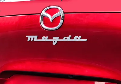 Эмблема Mazda (65мм на 50мм) для купить по лучшей ❗цене – в интернет  магазине тюнинга 🚗 DDAudio