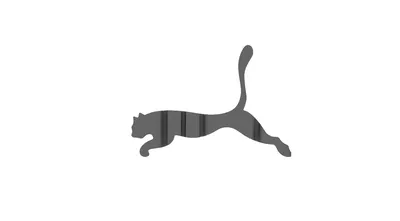 PUMA Triumphs in Trademark Battle over Iconic Jumping Cat Logo – JAPAN  TRADEMARK REVIEW