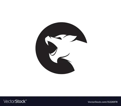 Why did they print the 1951 logo? : r/PUMA