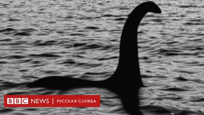 Где Несси? В Шотландии ищут Лохнесское чудовище – DW – 