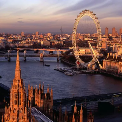 Купить картину-постер "Колесо обозрения "Лондонский глаз" (London eye)  нависло над водами Темзы" с доставкой недорого | Интернет-магазин  "АртПостер"