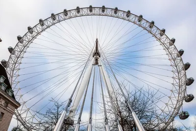 Интересные факты о London Eye | Italista | Дзен