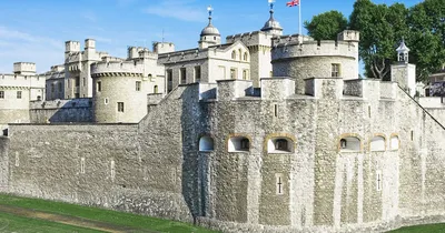 Tower of London (Экскурсия в Лондонский Тауэр) | Удоба - бесплатный  конструктор образовательных ресурсов