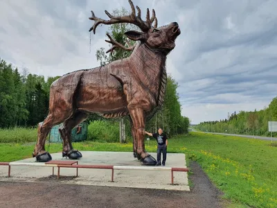 Лось Сад в парке Наньхайцзы изображение_Фото номер 501572775_JPG Формат  изображения_