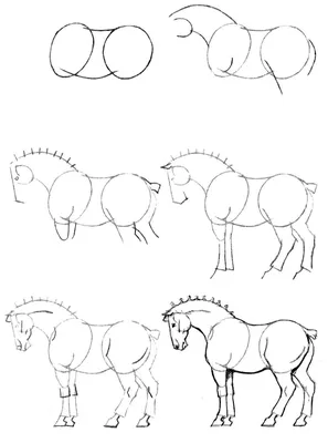 Лошадей для срисовки картинки
