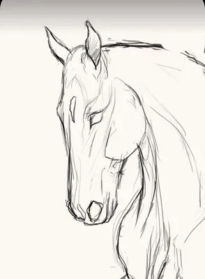 Простые рисунки лошадей для срисовки - 35 фото