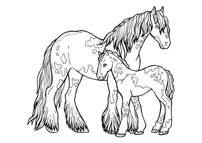 Раскраски лошадь единорог единорог лошадь раскраски Раскраски для мальчиков