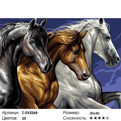 Раскраски лошадей для 11 лет (51 фото) » рисунки для срисовки на  Газ-квас.ком