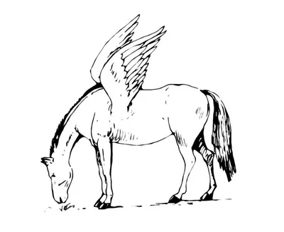 Лошадь дает человеку крылья | Пикабу