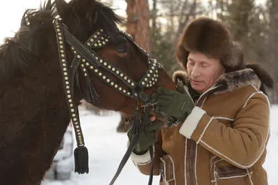 В Москве финишировал поход на якутских лошадях от Северного полюса холода -  РИА Новости, 