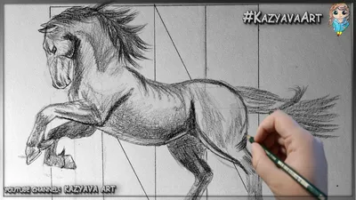 Как нарисовать реалистичную лошадь поэтапно