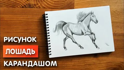 Рисунки лошадей карандашом для новичков (32 шт)