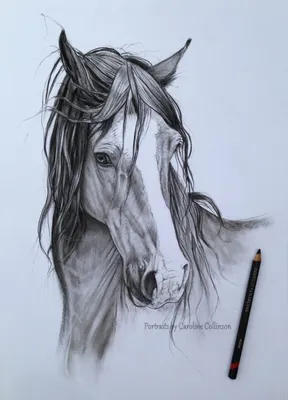 Мультяшная лошадь карандашом - 53 фото