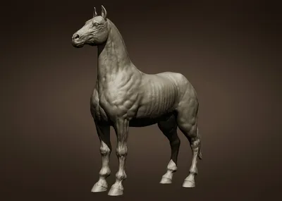 Лошади в древнегреческой мифологии — Википедия