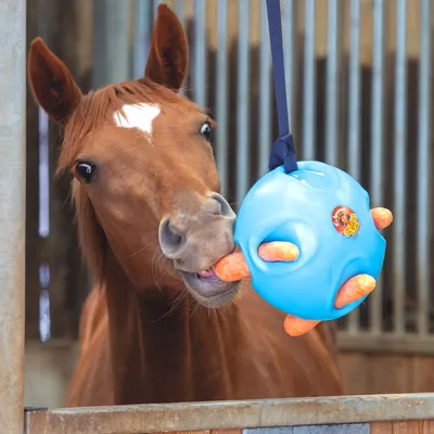 Голова лошади – купить онлайн на Ярмарке Мастеров – S5H2KRU | Картины,  Москва