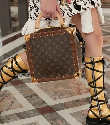 Louis vuitton (43 картинки)