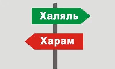 Сабур хазрат Хайрутдинов: «В Исламе ложь может быть дозволенной, если она  совершается с благими намерениями». ИА "Инфо-Ислам"