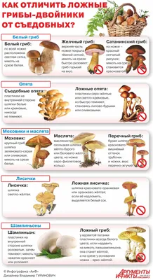 Ложные грибы – самые опасные и распространённые