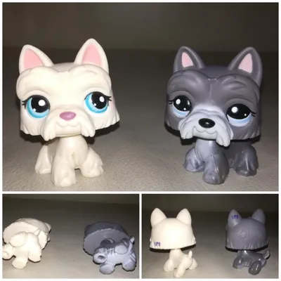 Littlest pet shop, LPS, пет шоп, лпс собаки – купить в Москве, цена 300  руб., продано  – Игрушки и игры