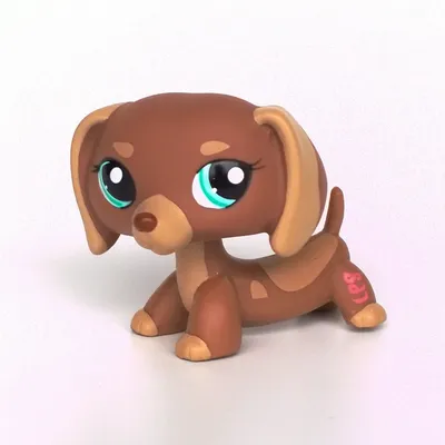 LPS CAT Littlest pet shop поплавок головы игрушки Оригинальные животные  колли #1542 Коричневый Белый щенок собака синие глаза реальные Редкие  Фигурки игрушки | AliExpress