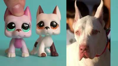 LPS CAT Littlest pet shop, коллекция кошек и собак с короткой шерстью |  AliExpress