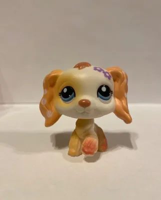 Лпс пет шоп Lps littlest pet shop оригинал кошки собаки: 300 грн. - Фигурки  животных Александровка на Olx