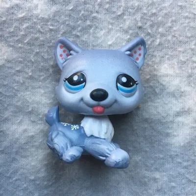 Littlest Pet Shop LPS собака коллі: 420 грн. - Фигурки животных Леоновка на  Olx