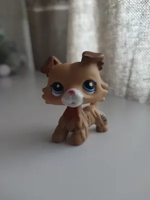 Купить Фигурка LPS, 3 шт./лот, домашнее животное, кошка, собака, Littlest  Pet Shop, детская игрушка #2005 | Joom