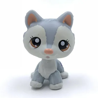 Купить товар Littlest Pet Животные коллекции LPS Рисунок девушка колли без  магнита dwa377 в категории Игрушечные фигурки на AliExpress. Li… |  Животные, Колли, Куклы