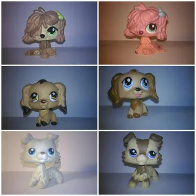 Купить LPS Littlest Pet Shop колли собака из ПОЛЬШИ: отзывы, фото и  характеристики на  (9478297754)