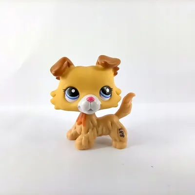 LPS редкая кошка, маленькие животные из зоомагазина, игрушки с головой  поплавка, щенок, собака #1683 светло-голубой с коричневыми глазами, подарок  для мальчиков и подарки | AliExpress