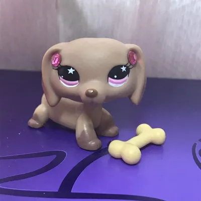 Hasbro Littlest Pet Shop LPS Kawaii Cute Q-Version кукла для собак подарки  игрушечные модели Аниме фигурки любимые коллекционные украшения | AliExpress