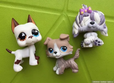 LPS Dog 363 Grey Collie Littlest Pet Shop Authentic LPS Hasbro #363 | eBay