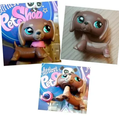 Littlest pet shop LPS такса #1751 ОРИГИНАЛ – купить в Москве, цена 1 900  руб., продано  – Игрушки и игры