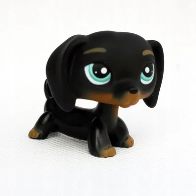 Купить Фигурка собаки LPS LITTLEST PET SHOP ТАКСА PL 24H: отзывы, фото и  характеристики на  (9989113642)