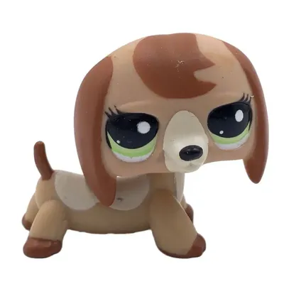 LPS CAT Littlest pet shop, игрушки с головой поплавка, собака, милая  коричневая такса #1751 с голубыми глазами, редкая аниме-фигурка, игрушка,  doga для детей | AliExpress