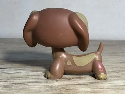 Подарочный набор 'Валентинка' с Таксой, Зайчиком, Пандой и Лягушкой,  Littlest Pet Shop, Hasbro [14059]